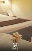 Туры в отель Othelo Hotel Boutique Mexico