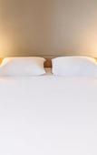 Туры в отель ibis Thonon Centre Hotel
