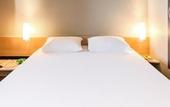Туры в отель ibis Thonon Centre Hotel