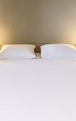 Туры в отель ibis Thonon Centre Hotel