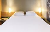 Туры в отель ibis Thonon Centre Hotel