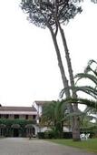 Туры в отель Resort Miramonti