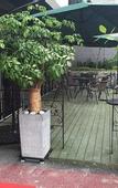Туры в отель Suwon Dono1796 Hotel