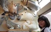 Туры в отель Hanakagura