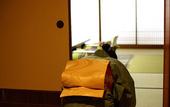 Туры в отель Hiranoya