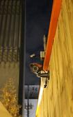 Туры в отель Bunk Guest House - Hostel