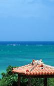 Туры в отель The Uza Terrace Beach Club Villas