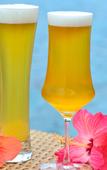 Туры в отель The Uza Terrace Beach Club Villas