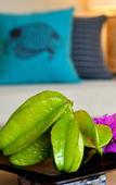 Туры в отель The Uza Terrace Beach Club Villas