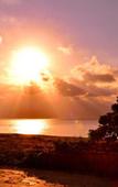 Туры в отель The Uza Terrace Beach Club Villas