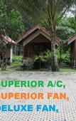 Туры в отель PAN Beachfront Resort Krabi