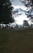 Туры в отель PAN Beachfront Resort Krabi