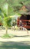 Туры в отель PAN Beachfront Resort Krabi