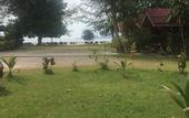 Туры в отель PAN Beachfront Resort Krabi