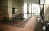 Туры в отель Kawayu Kanko Hotel