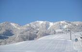 Туры в отель Premier Hotel Cabin Asahikawa