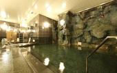 Туры в отель Premier Hotel Cabin Asahikawa