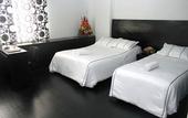 Туры в отель Hotel Ejecutivo Av Esperanza