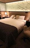 Туры в отель Waxwing Hotel