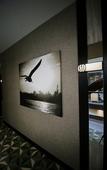 Туры в отель Waxwing Hotel