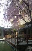 Туры в отель Hirugami Grand Hotel Tenshin