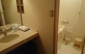 Туры в отель Hirugami Grand Hotel Tenshin