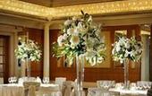 Туры в отель The Bristol Hotel
