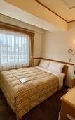 Туры в отель Toyoko Inn Okayama Station