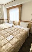 Туры в отель Toyoko Inn Okayama Station