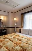 Туры в отель Toyoko Inn Okayama Station