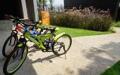 Туры в отель dusitD2 Khao Yai
