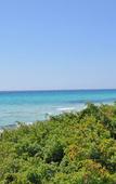 Туры в отель Hotel Baia Verde Gallipoli