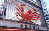Туры в отель Osaka guest house sakura – Hostel