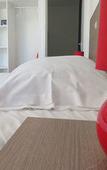 Туры в отель Hotel Sampiero Corso
