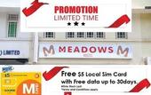 Туры в отель Meadows Hostel