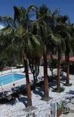 Туры в отель Apollon Hotel