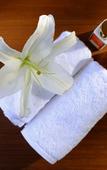 Туры в отель Saraca Hotel Lucknow