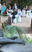 Туры в отель Beside Still Waters Boutique Hotel