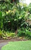 Туры в отель Cairns City Palms