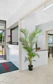 Туры в отель Cairns City Palms