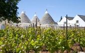 Туры в отель Nina Trulli Resort