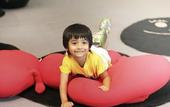 Туры в отель Novotel Chennai OMR Hotel
