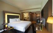 Туры в отель Novotel Chennai OMR Hotel
