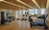 Туры в отель Novotel Chennai OMR Hotel