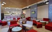 Туры в отель Novotel Chennai OMR Hotel