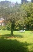Туры в отель Villa Abbamer