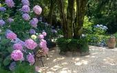 Туры в отель Villa Abbamer