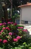 Туры в отель Villa Abbamer