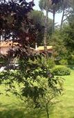 Туры в отель Villa Abbamer