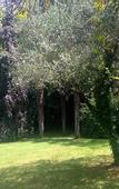 Туры в отель Villa Abbamer